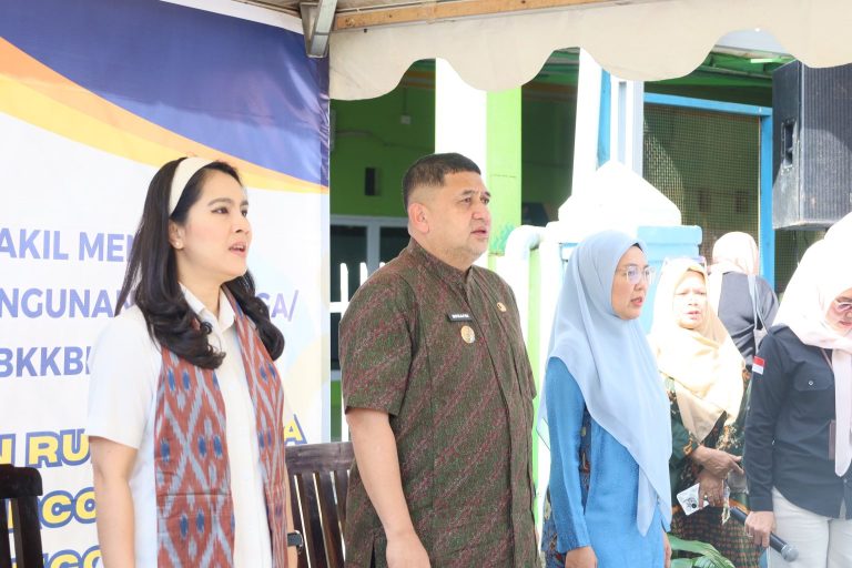 Wali Kota Makassar Bersama Ketua TP PKK Dampingi Wamendukbangga Tinjau Kampung KB