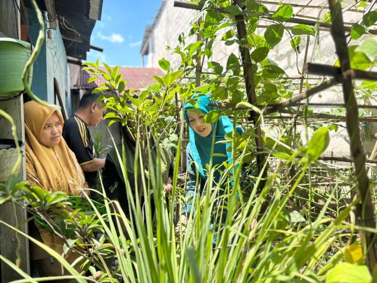 Sinergi Pangan dan Lingkungan: Urban Farming Tallo Ubah Wajah Permukiman Kota