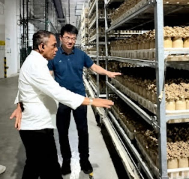Belajar dari Sichuan, Sulteng Siap Lompatan Besar di Sektor Pertanian Modern