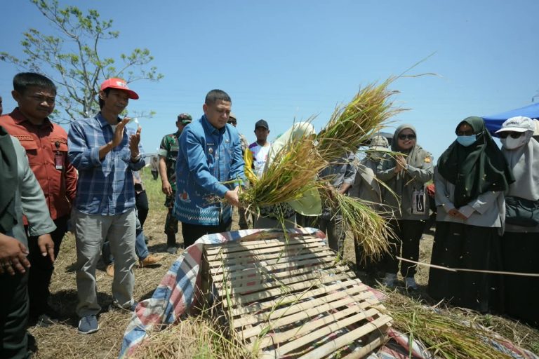 Munafri Perkuat Sektor Pertanian Makassar Lewat Bantuan Pupuk dan Ribuan Kilogram Benih