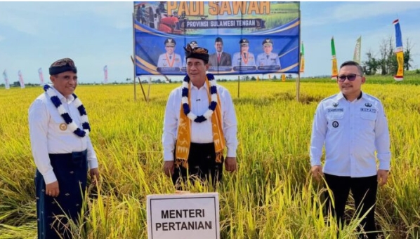 Toili Siap Bertransformasi Jadi Etalase Pertanian Modern Sulteng